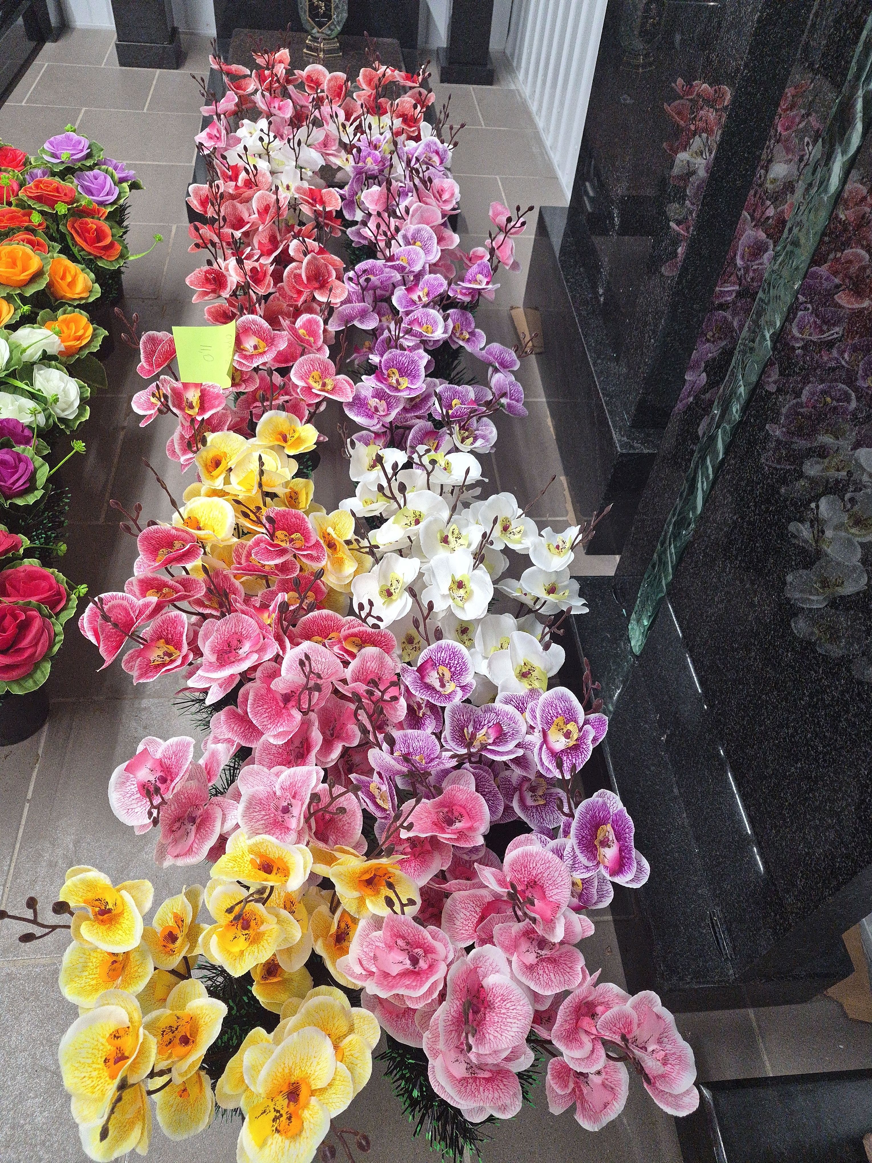 Цветы в вазонах Орхидея арт:2387