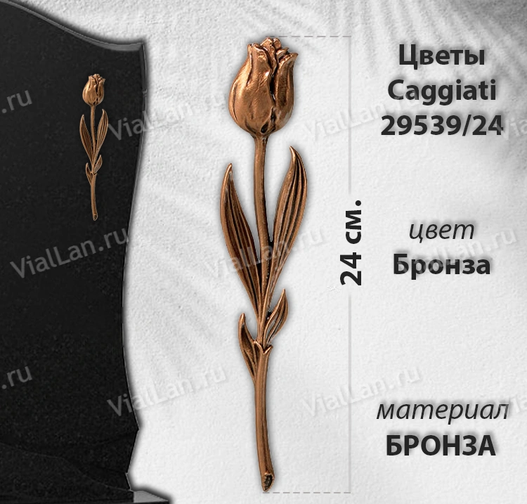 Цветы Caggiati 29 539/24 (Материал Бронза, Цвет Бронза) арт:1442