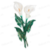 Цветы Ц4 КП Калла белая двойная (35*15, композит + стекловолокно, Цветы) арт:880