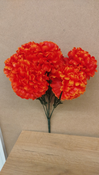 Цветы одиночные Гвоздика BLH 7 mix арт:2416