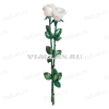 Цветы Ц6 КБ Ст Роза белая  (60*13, композит + стекловолокно, Цветы) арт:889