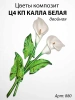 Цветы Ц4 КП Калла белая двойная (35*15, композит + стекловолокно, Цветы) арт:880