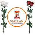 Цветы композитные Viallan.ru