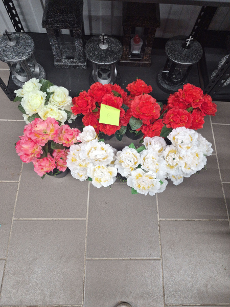 Цветы в Вазонах М Пионы арт:2382