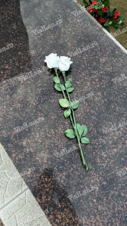 Цветы Ц6 КБ Ст Роза белая  (60*13, композит + стекловолокно, Цветы) арт:889