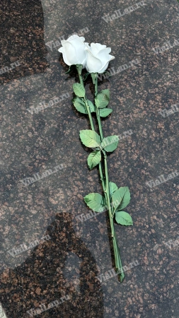 Цветы Ц6 КБ Ст Роза белая  (60*13, композит + стекловолокно, Цветы) арт:889