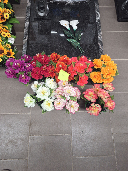 Цветы в Вазонах М Гвоздики арт:2381